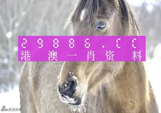澳门一码一码100准确最全精选解析、解释与落实